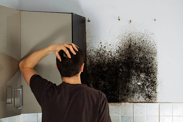 Crawl Space Mold Removal in Mcdonald, OH